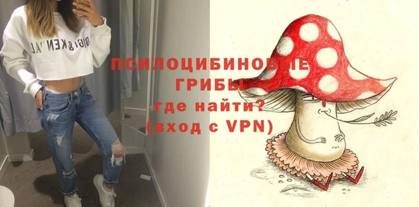 тгк Аркадак