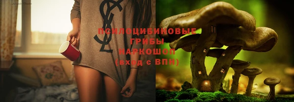 Альфа ПВП Баксан