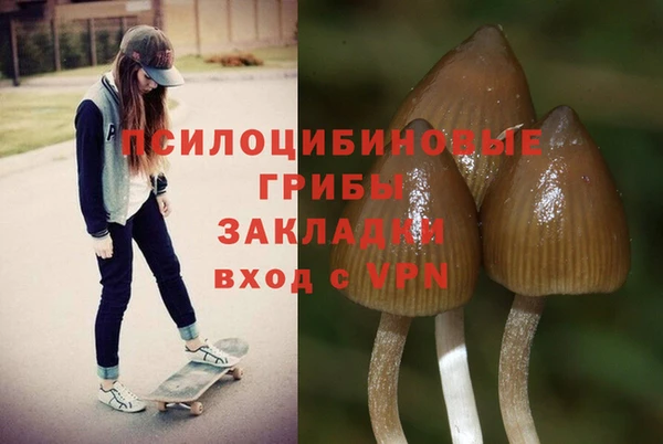 Альфа ПВП Баксан