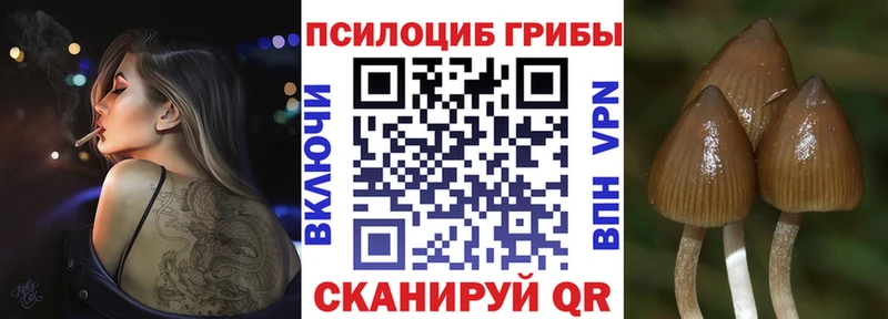 Галлюциногенные грибы GOLDEN TEACHER  Плавск 
